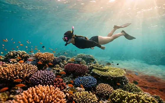 Snorkeling & Pulang — Bali Adventure Full