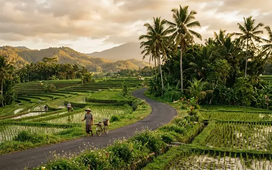 Kembali — Kintamani Sunrise & Ubud